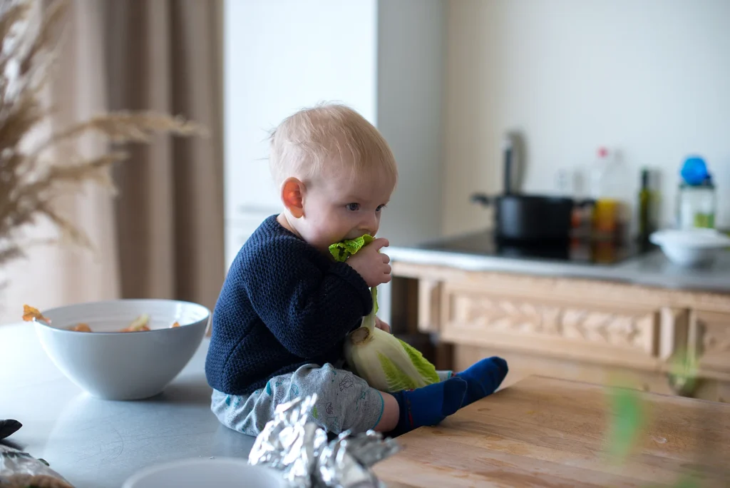 5 errores comunes al introducir alimentos