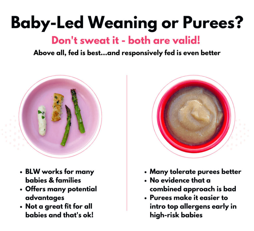 I can spoon - baby lead weaning or puress -Purees Vs. Baby-Led Weaning: Pros Uncovered for Happy Babies