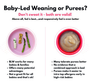 I can spoon - baby lead weaning or puress -Purees Vs. Baby-Led Weaning: Pros Uncovered for Happy Babies