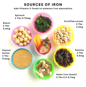 I can spoon -The Best Iron-Rich Foods for Babies: Top Nutritious Picks